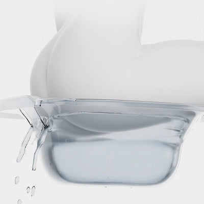 Toilet Bidet Female Private Washer